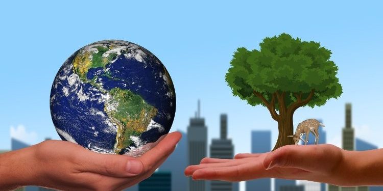 Pope and ecumenical leaders: Caring for God’s creation requires commitment