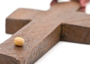 The Deeper Meaning of How Faith is ‘Like a Mustard Seed’